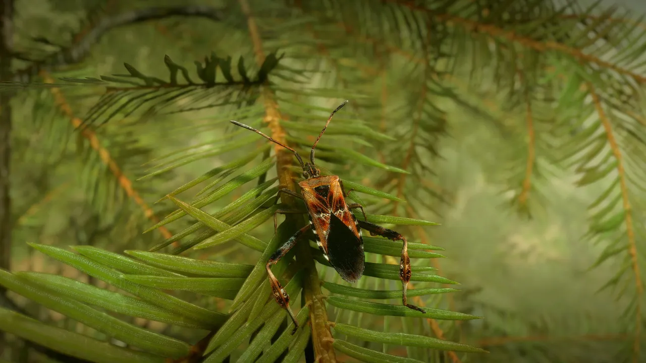 Insect Worlds - captura de pantalla