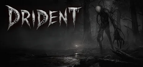 Drident — portada destacada
