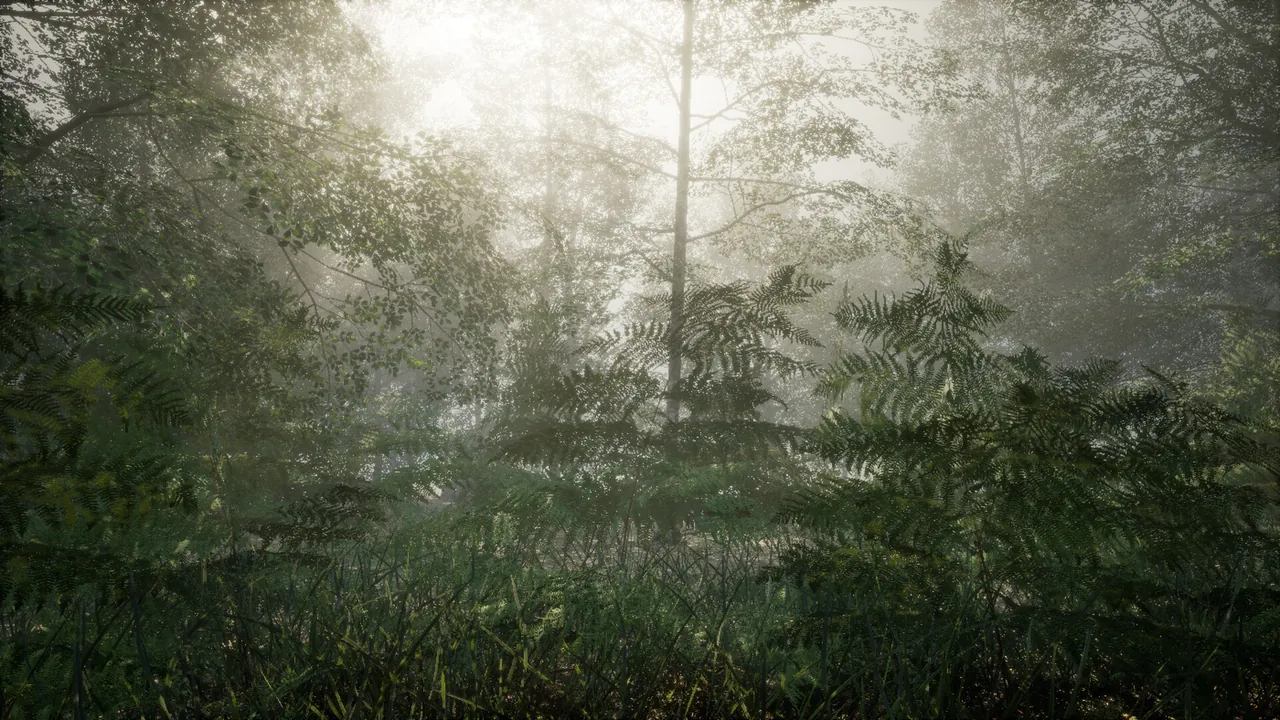 Obey the Rules: Forest - captura de pantalla