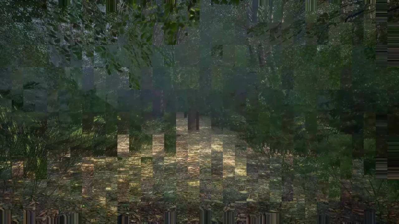 Obey the Rules: Forest - captura de pantalla