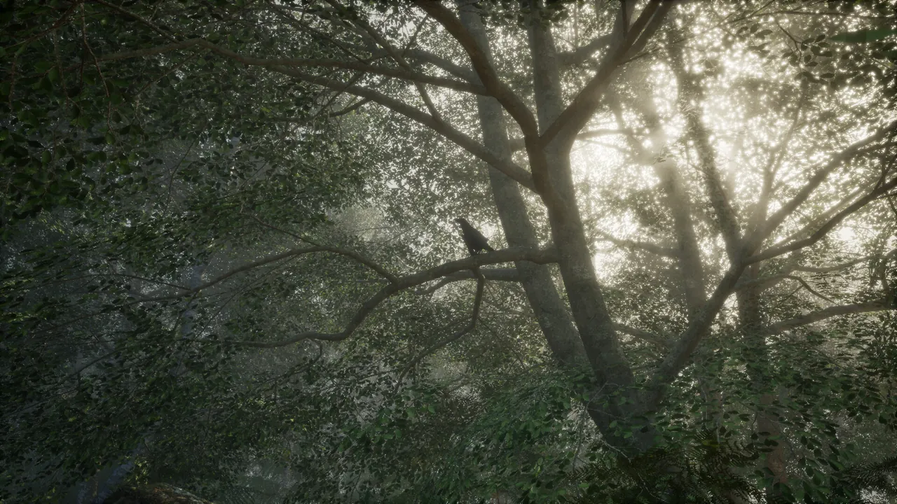 Obey the Rules: Forest - captura de pantalla