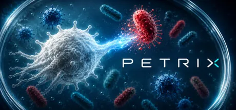 Petrix — portada destacada