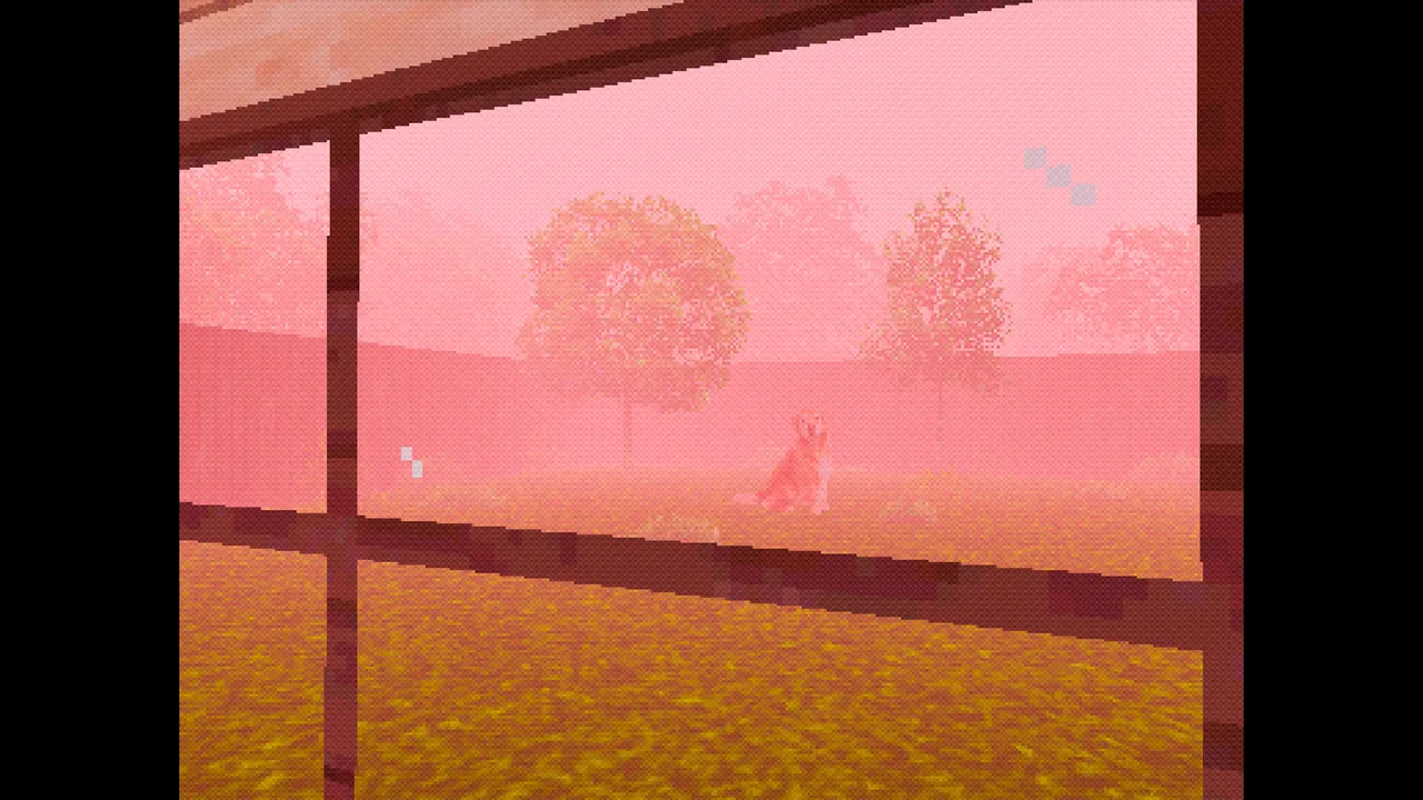 TAKE CARE OF THE DOG - captura de pantalla